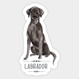 Black Labrador Sticker